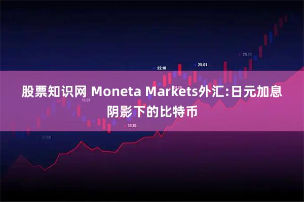 股票知识网 Moneta Markets外汇:日元加息阴影下的比特币
